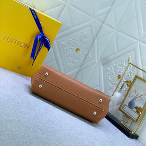LV Brown Bag